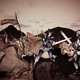 Illustration for article titled How House Targaryen Conquered Westeros, Hundreds of Years Before iGame of Thrones/i